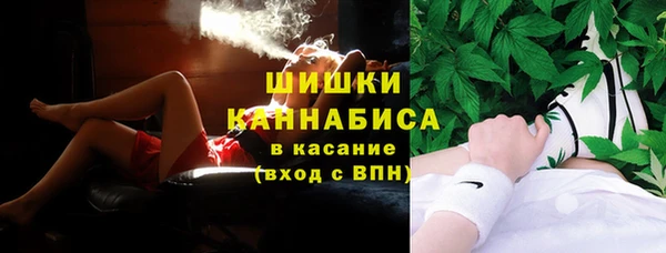 прущая мука Каменка