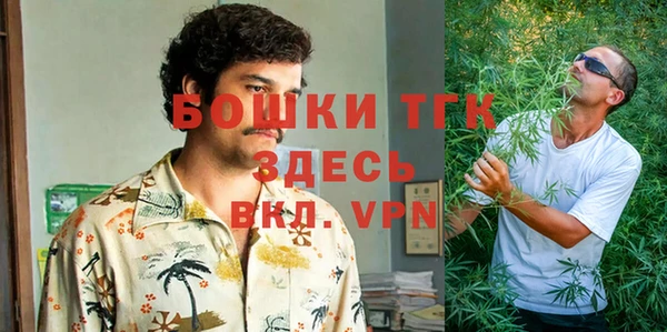 прущая мука Каменка