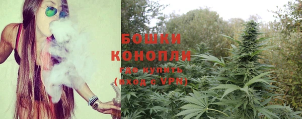 прущая мука Каменка