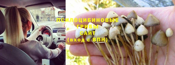 не бодяженный Каменск-Шахтинский