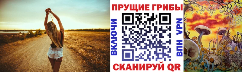 Галлюциногенные грибы прущие грибы  Купить закладки  Бронницы 