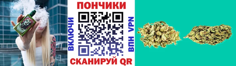 Бошки марихуана индика  Купить где  Бронницы 